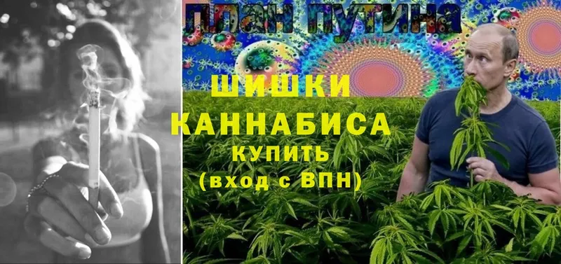 где можно купить наркотик  Мичуринск  Марихуана SATIVA & INDICA 